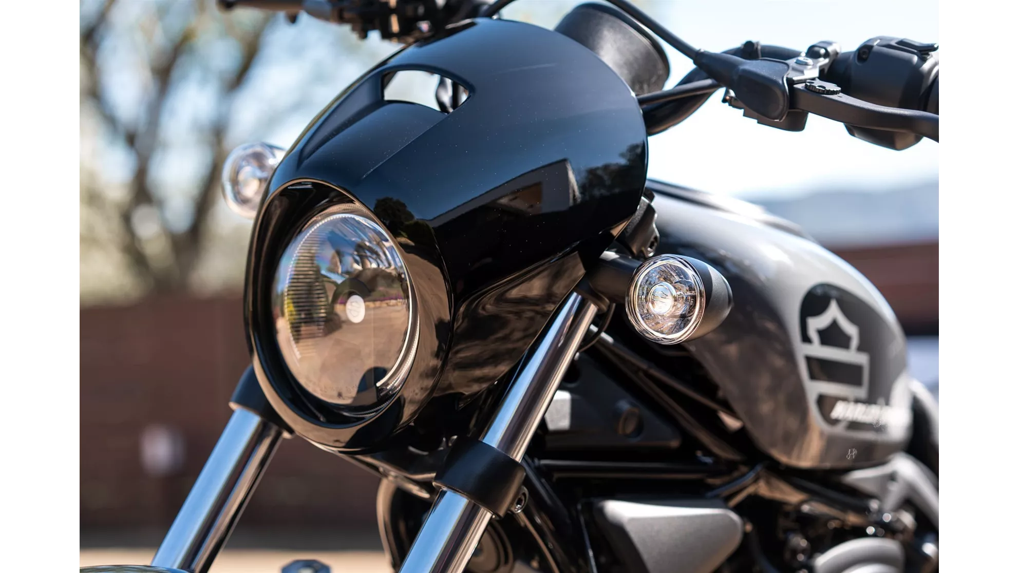 Harley-Davidson Nightster - Image 12 Harley-Davidson Nightster - Image 12