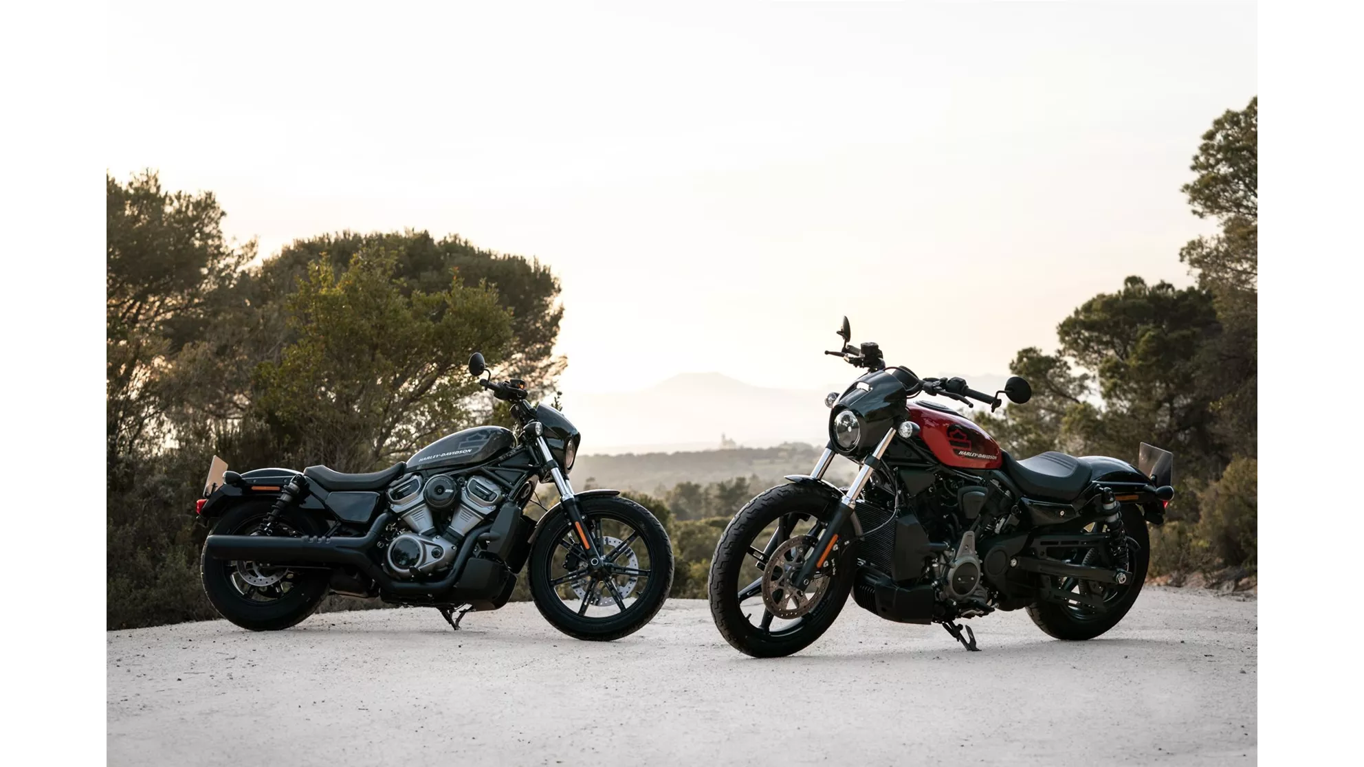 Harley-Davidson Nightster - Image 13 Harley-Davidson Nightster - Image 13