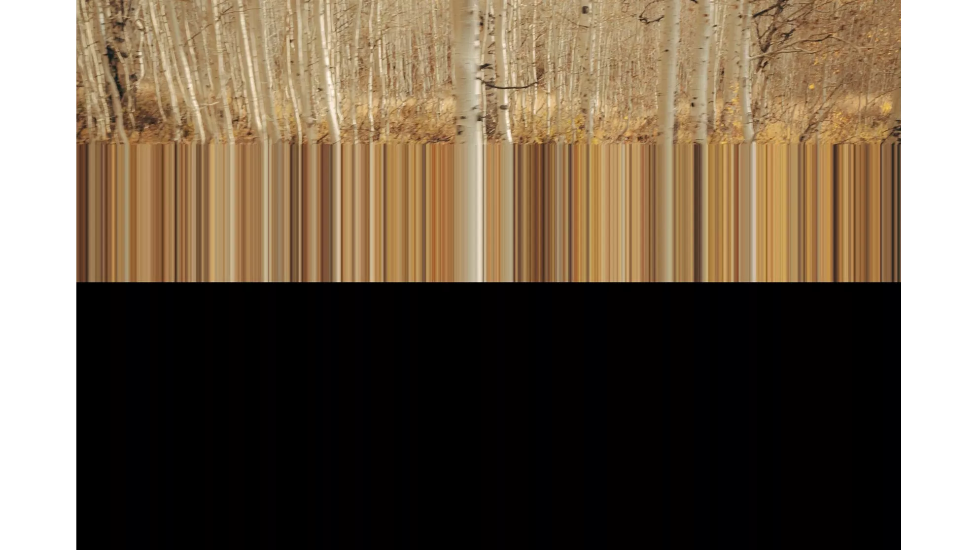 Harley-Davidson Softail Heritage Classic 114 FLHCS - Image 6 Harley-Davidson Softail Heritage Classic 114 FLHCS - Image 6