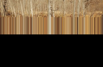 Harley-Davidson Softail Heritage Classic 114 FLHCS 2023 - Bild 9 Harley-Davidson Softail Heritage Classic 114 FLHCS 2023 - Bild 9