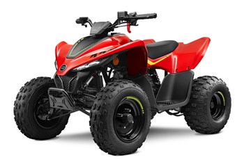 CFMOTO CForce 110 2023 - Bild 5