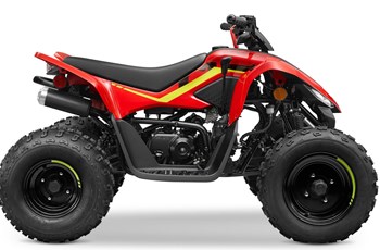 CFMOTO CForce 110 2023 - Bild 6