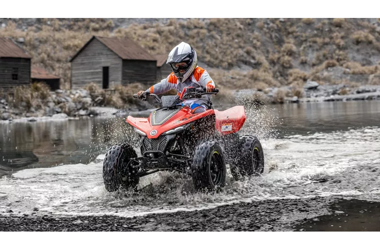 CFMOTO CForce 110 2023 CFMOTO CForce 110 2023