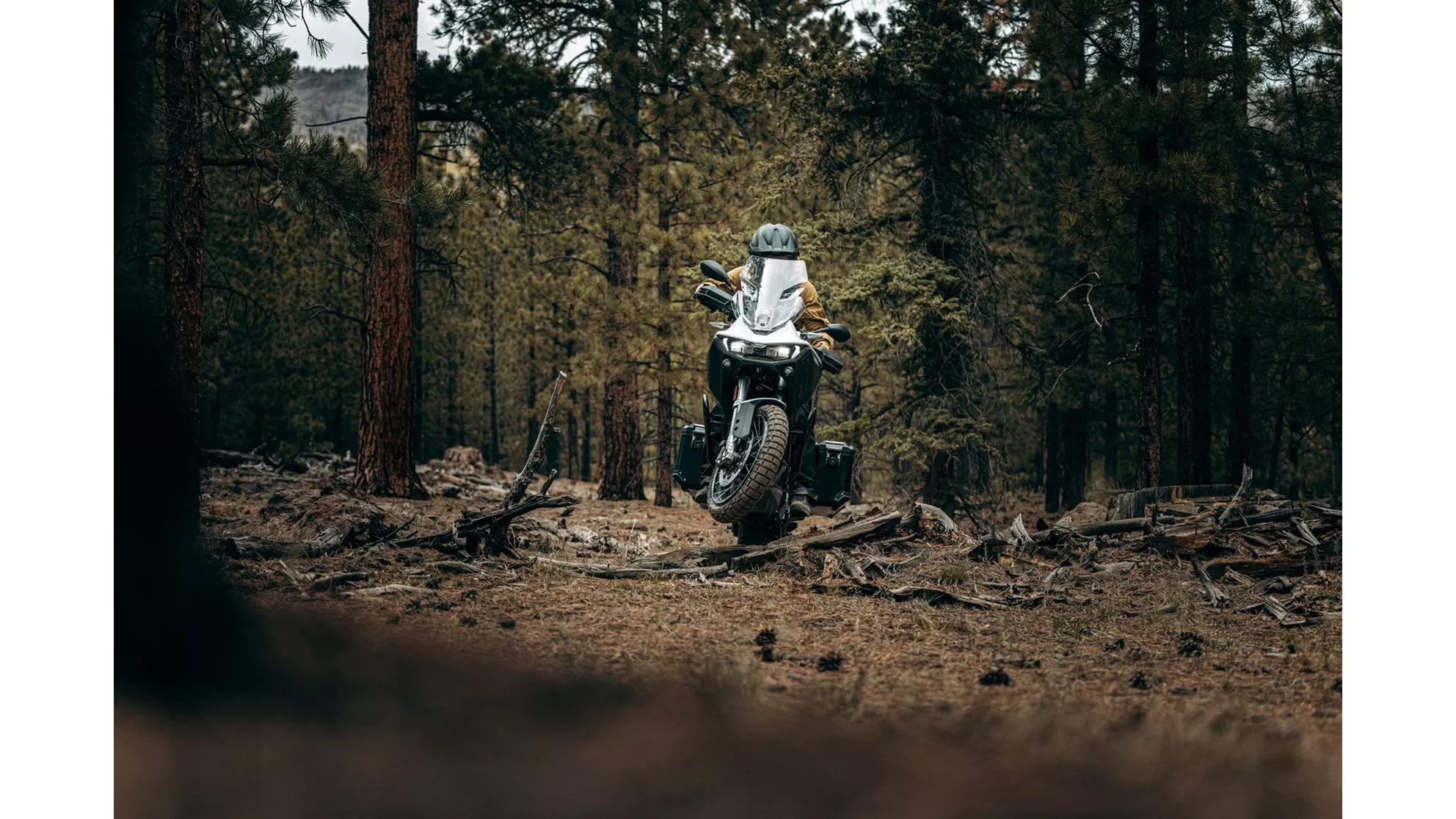 Zero DSR/X - Image 4 Zero DSR/X - Image 4