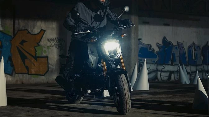 Honda MSX125 Grom Bild 2: Honda MSX125 Grom