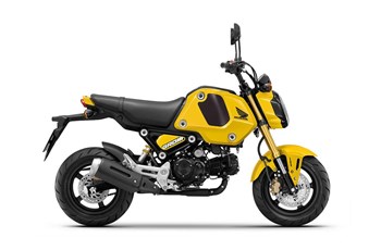 Honda MSX125 Grom 2023 - Bild 5 Honda MSX125 Grom 2023 - Bild 5
