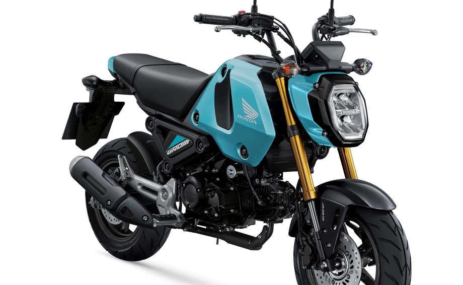 Honda MSX125 Grom Bild 5: Honda MSX125 Grom