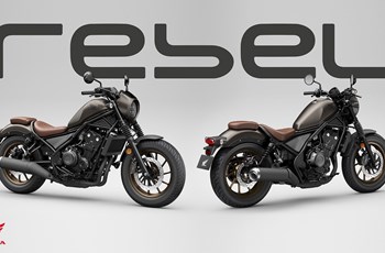 Honda CMX500 Rebel S 2023 - Bild 7 Honda CMX500 Rebel S 2023 - Bild 7