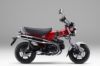 Honda Dax 125 2023 - Bild 2