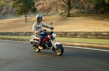 Honda Dax 125 2023 - Bild 3