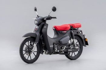 Honda Super Cub C 125 2023 - Bild 5