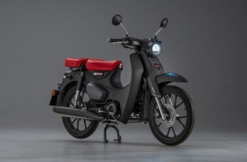 Honda Super Cub C 125 2023 - Bild 8