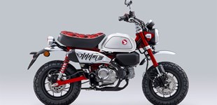 Kawasaki Eliminator 500 2024 vs Honda Monkey 125 2023