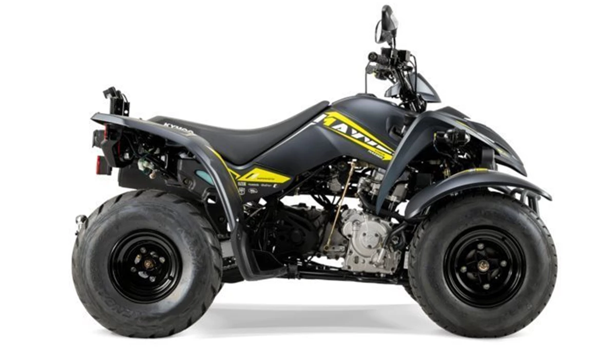 Kymco Maxxer S 300 T Onroad Bild 2: Kymco Maxxer S 300 T Onroad