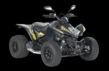 Kymco Maxxer S 300 T Onroad 2023 - Bild 5