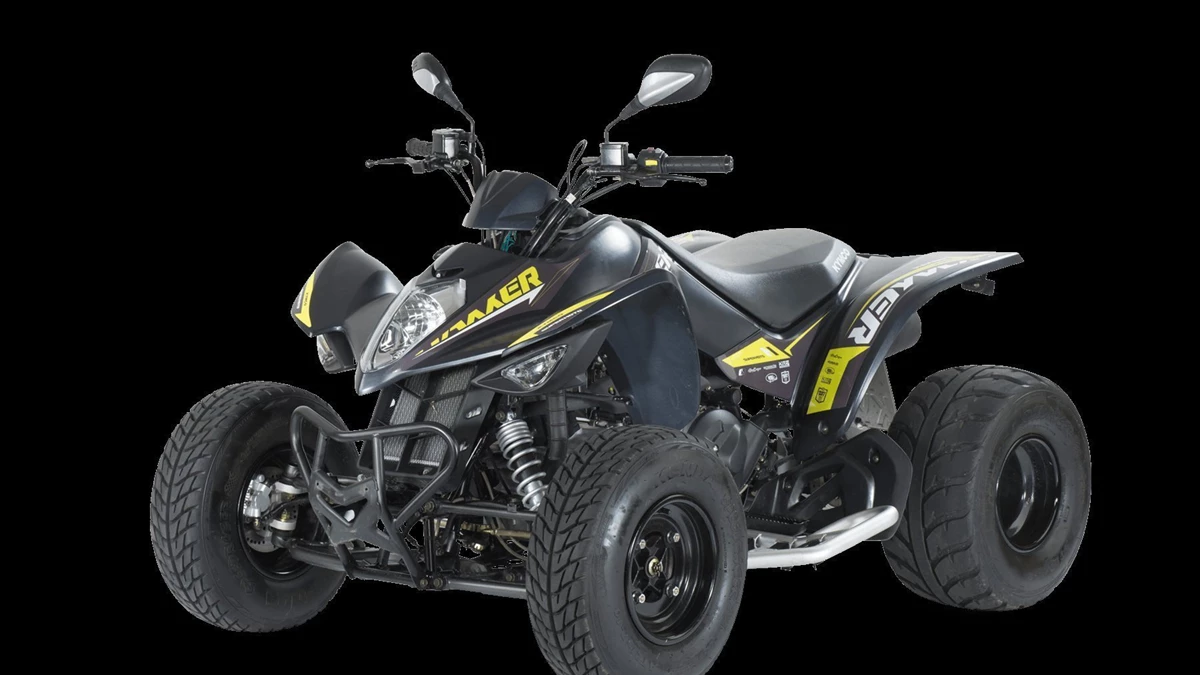 Kymco Maxxer S 300 T Onroad Bild 10: Kymco Maxxer S 300 T Onroad