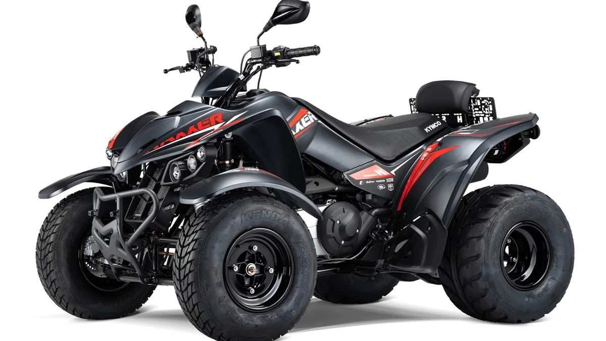 Kymco Maxxer S 300 T Onroad Bild 15: Kymco Maxxer S 300 T Onroad