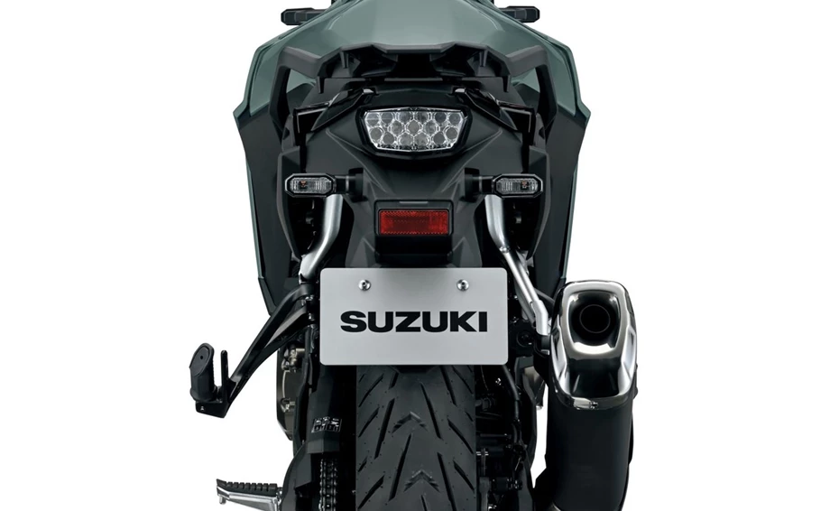 Suzuki V-Strom 800 Bild 8: Suzuki V-Strom 800