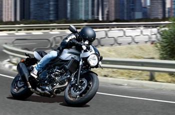 Suzuki SV650X 2023 - Bild 3