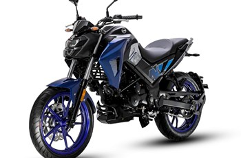 Sym NH X 125 2023 - Bild 3