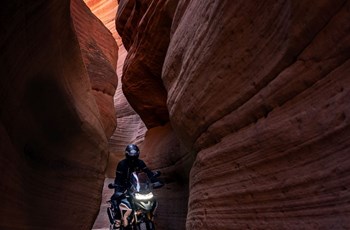 Triumph Tiger 1200 Rally PRO 2023 - Bild 6 Triumph Tiger 1200 Rally PRO 2023 - Bild 6