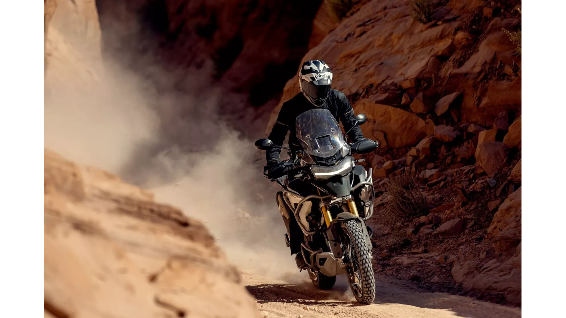 Triumph Tiger 1200 Rally PRO - Image 5 Triumph Tiger 1200 Rally PRO - Image 5