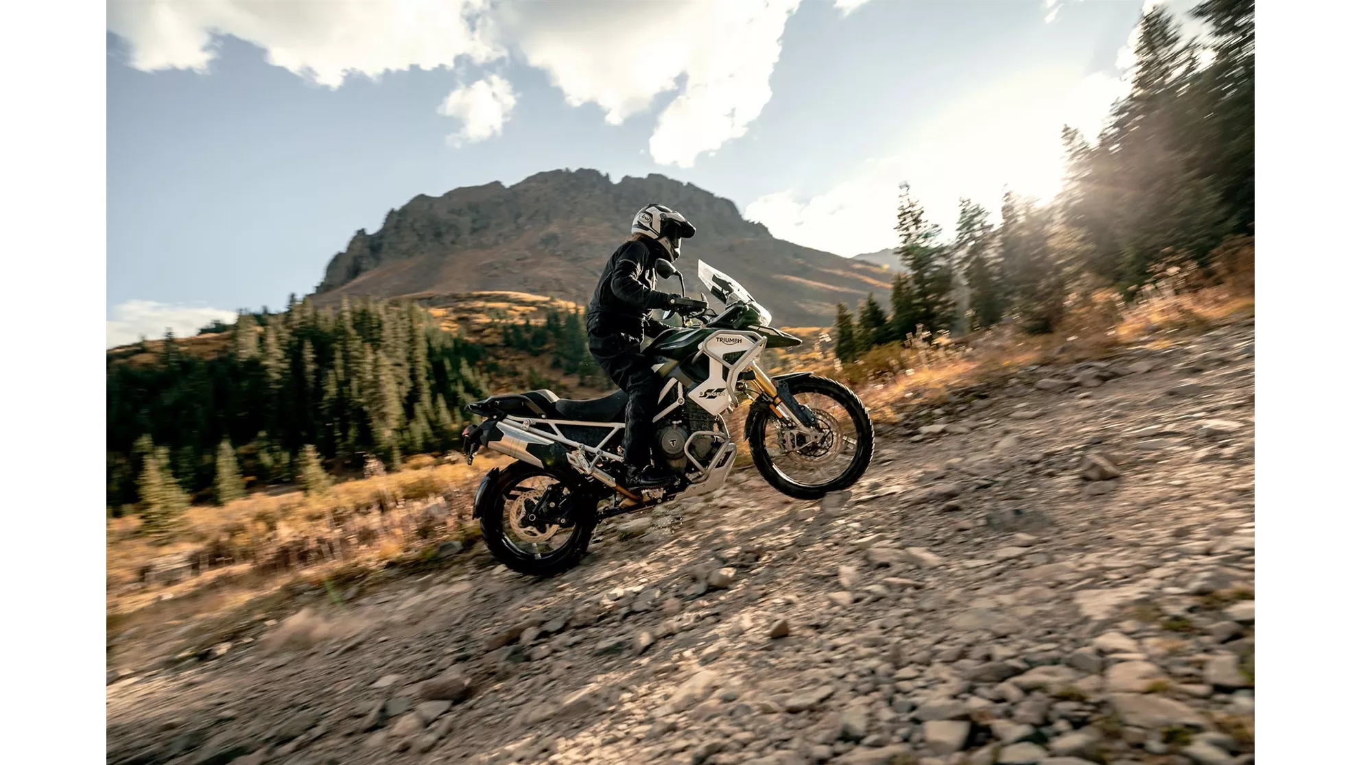 Triumph Tiger 1200 Rally PRO - Image 11 Triumph Tiger 1200 Rally PRO - Image 11
