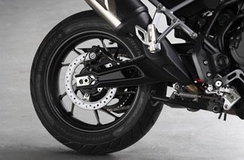 Triumph Tiger 900 GT Pro 2023 - Bild 16 Triumph Tiger 900 GT Pro 2023 - Bild 16
