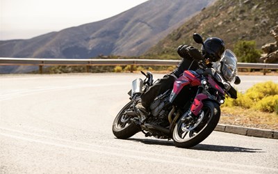 Tiger 900 GT Pro
