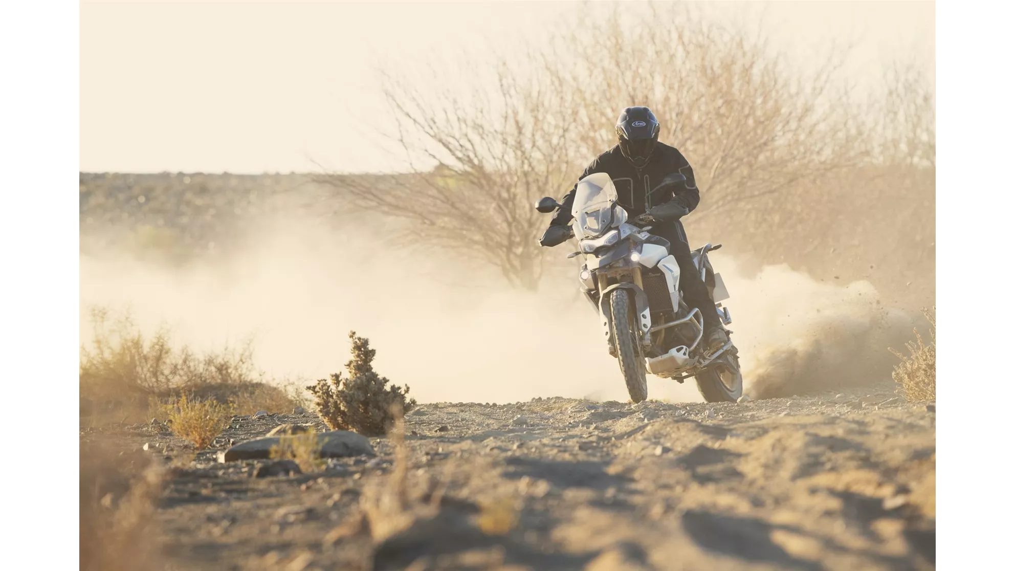 Triumph Tiger 900 Rally Pro - Image 18 Triumph Tiger 900 Rally Pro - Image 18