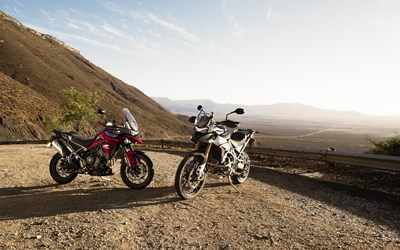 Tiger 900 Rally Pro