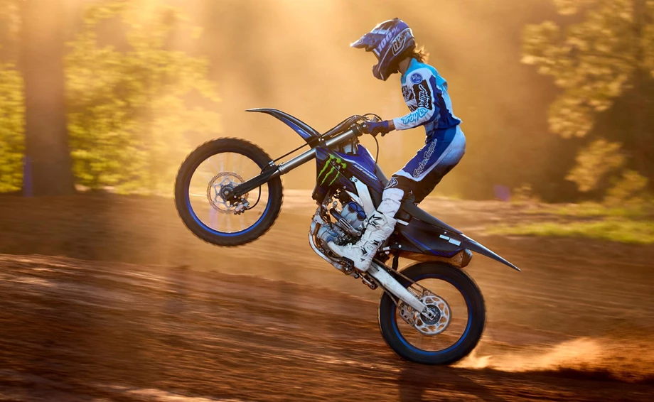 Yamaha YZ250F Monster Energy Edition Bild 2: Yamaha YZ250F Monster Energy Edition