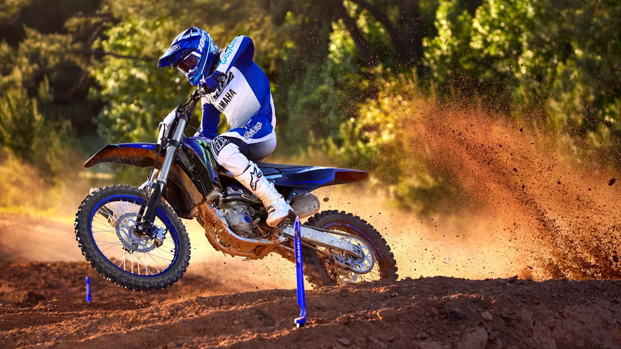 Yamaha YZ250F Monster Energy Edition - Image 2 Yamaha YZ250F Monster Energy Edition - Image 2