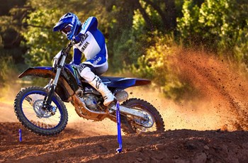 Yamaha YZ250F Monster Energy Edition 2023 - Bild 4