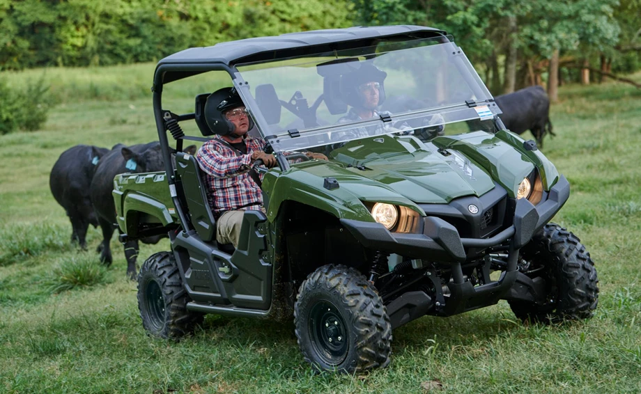 Yamaha Viking EPS Bild 6: Yamaha Viking EPS