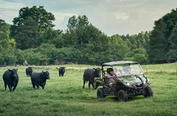 Yamaha Viking EPS 2023 - Bild 12