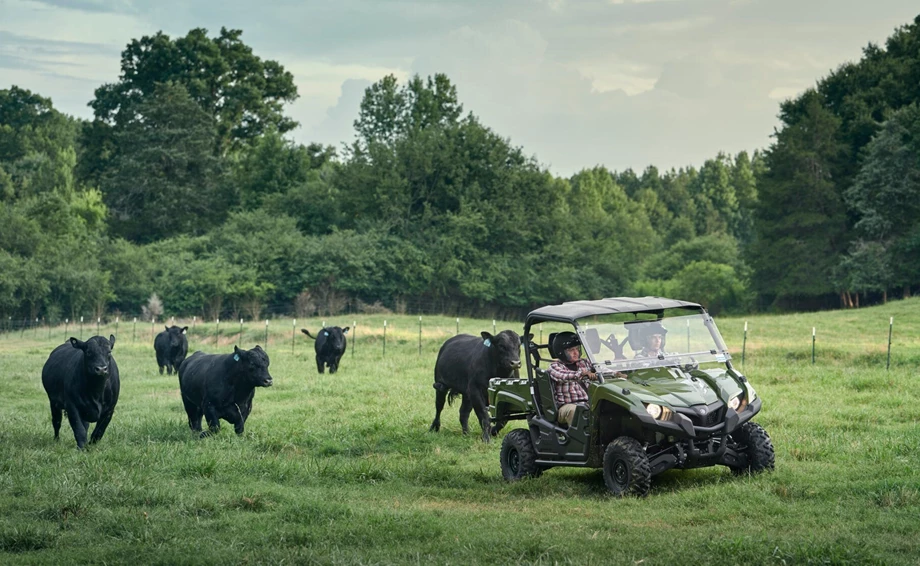 Yamaha Viking EPS Bild 11: Yamaha Viking EPS