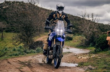 Yamaha Tenere 700 Extreme 2023 - Bild 8