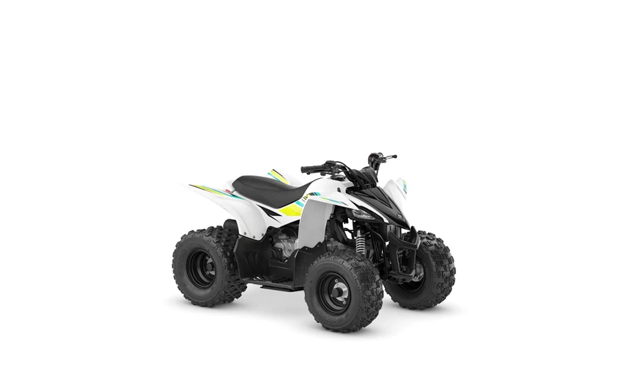 Yamaha YFZ50 Bild 3: Yamaha YFZ50