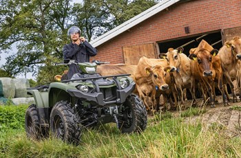 Yamaha Kodiak 450 EPS 2023 - Bild 10