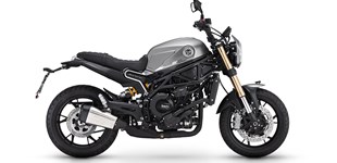 BMW F 900 GS 2024 vs Benelli Leoncino 800 2023