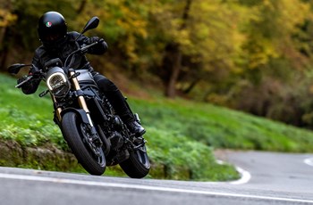 Benelli Leoncino 800 2023 - Bild 3