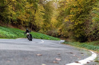 Benelli Leoncino 800 2023 - Bild 6