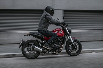 Benelli Leoncino 500 2023 - Bild 3