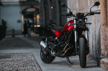 Benelli Leoncino 500 2023 - Bild 5