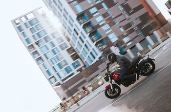 Benelli Leoncino 500 2023 - Bild 6