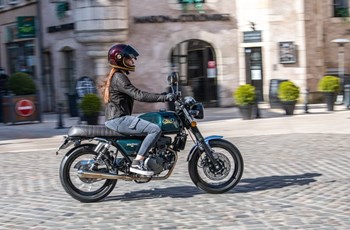 Mash Black Seven 2023 - Bild 3