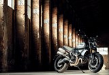 Ducati Scrambler 1100 Dark PRO 2023 Bilder