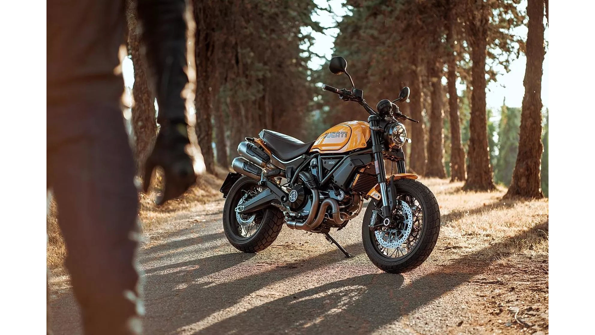Ducati Scrambler 1100 Tribute PRO - Image 9 Ducati Scrambler 1100 Tribute PRO - Image 9