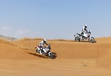 Ducati DesertX 2023 Bilder